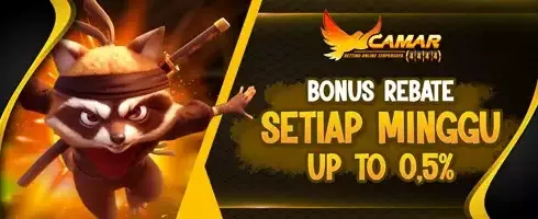 VIP Rebate Slot Game Harian promotion